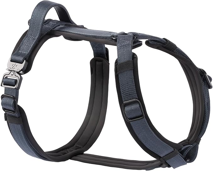 CLEPAWS Dog Harness for Large Dogs, No Pull Dog Harness Easy Walk with Metal Hardware, Ergonomic Y-Shaped Design, Soft Padding, Padded Handle, Durable High-Tensile Nylon (Nightfall, L)