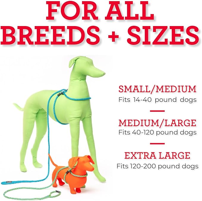 Harness Lead No Pull Dog Harness and Leash Set, Anti Pull Dog Harness, One-Piece Cushioned Rope Safely Prevents Escaping and Pulling *New Insert is Removable (Small/Medium, Purple/Turquoise)