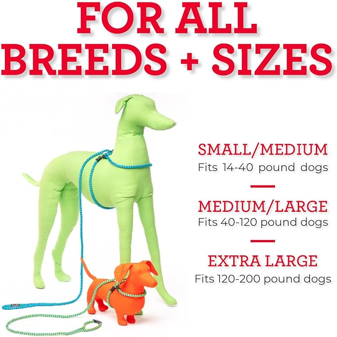 Harness Lead No Pull Dog Harness and Leash Set, Anti Pull Dog Harness for All Breeds and Sizes, One-Piece Cushioned Rope Design Safely Prevents Escaping and Pulling (Medium/Large, Blue/Multi)