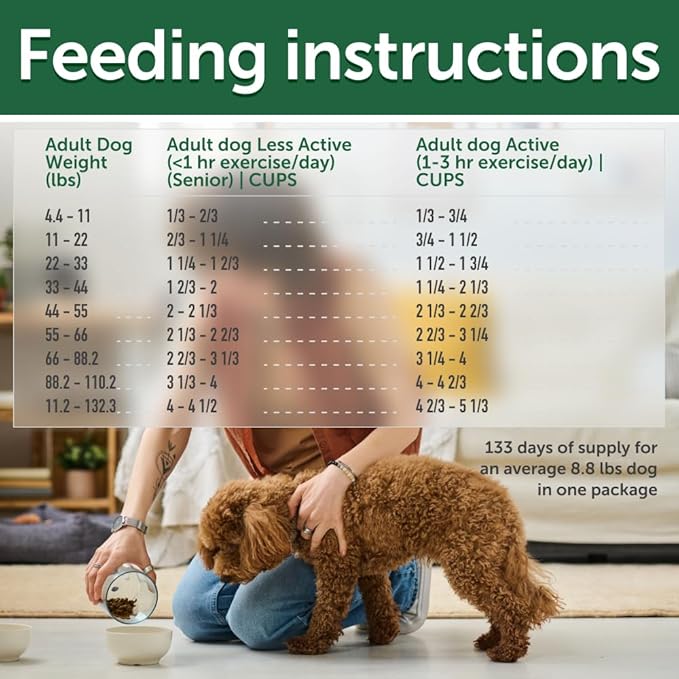 Nature's Protection Small & Large Breed Dry Dog Food Salmon - High Protein, Grain Free Tear Stain Diet - Dog Kibble for Puppy & Adult Dogs with Red Fur (Superior Care - Salmon, 8.8 lb)