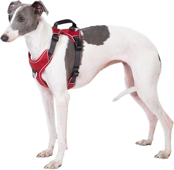 No Pull Dog Harness with Back Control Handle Medium Sized, Reflective Vest, Adjustable and Padded, Easy Walker Front/Back Clips (Red, Medium)