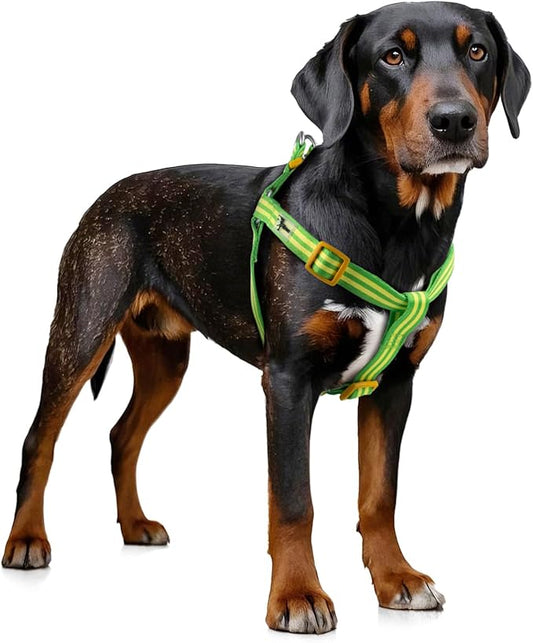 Stripe Step in Dog Harness for Small Dogs, Freedom Nylon Dog Halter Vests, Lightweight and Escape Proof Puppy Harness, Quick Fits for Small Medium and Large Dogs, Green S