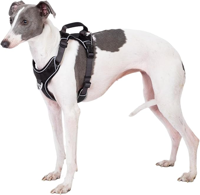 No Pull Dog Harness with Back Control Handle Medium Sized, Reflective Vest, Adjustable and Padded, Easy Walker Front/Back Clips (Black, Medium)
