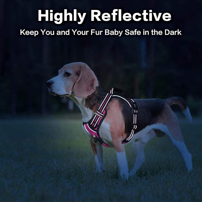 PoyPet No Pull Dog Harness, No Choke Front Clip Reflective Dog Vest with Soft Padded Vertical Handle, 3 Leash Attachments for Small Medium Large Dogs (Pink,S)