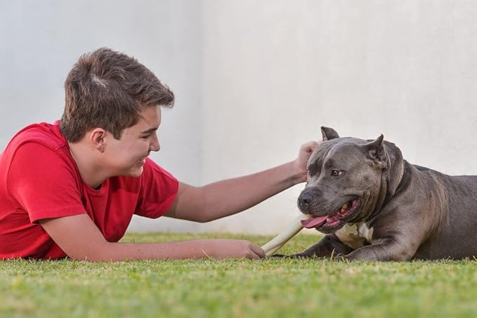 Cowdog Chews Retriever Roll 9-10 inch All Natural Rawhide Dog Treat (10 Pack)