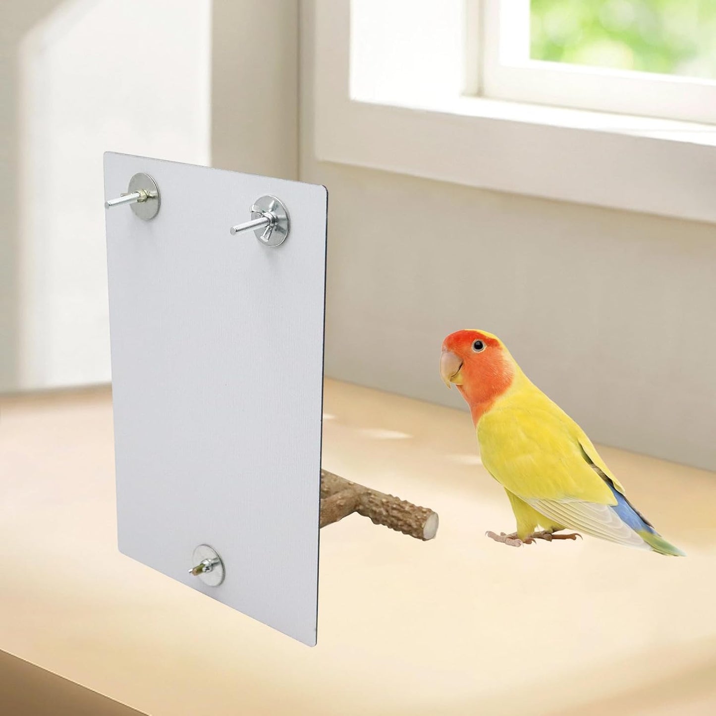 Oooct Large Bird Mirror Toy with Perch Stand, Parrot Parakeet Mirror with Bird Swing Bell Toys, Bird Cage Accessories, Suitable for Parakeet Cockatiel Conure Lovebirds - 11.8 × 7.9 Inch