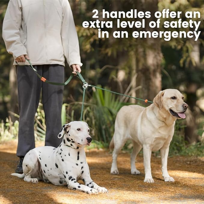 Howgo Double Slip Leash Slip Lead | Dual Dog Lead for 2 Dogs,360° Swivel No Tangle | Dog Training Nylon Leash and Collar | Double Clip Coupler and Splitter | Lightweight Aluminum (Black, 3FT)