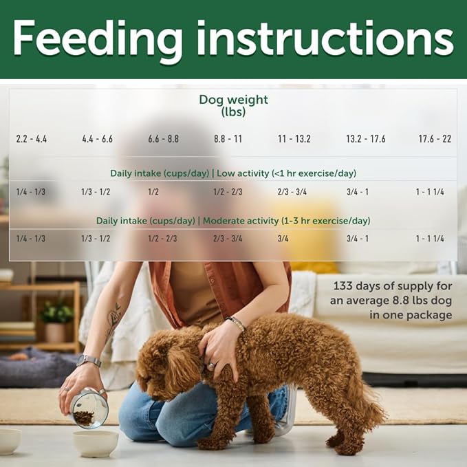 Nature's Protection Small Breed Dry Dog Food - High Protein, Grain Free, Natural Tear Stain Diet - Small Bites Dry Dog Kibble for Adult Dogs with Red Fur (Superior Care - Lamb, 22 lb)