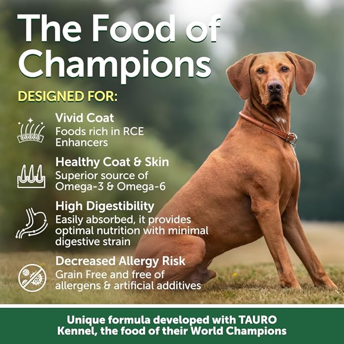 Nature's Protection Dry Dog Food for Small, Medium & Large Breed - High Protein, Grain Free Tear Stain Diet - Dog Kibble for Puppy & Adult Dogs with Red Fur (Superior Care - Lamb, 8.8 lb)