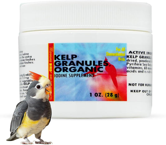 Morning Bird Kelp Granules 1 Oz – Iodine Supplement for Birds – Supports Feather Growth, Molting & Metabolism – Rich in Amino Acids, Trace Minerals & Natural Vitamins – Clean Nutrition for All Birds