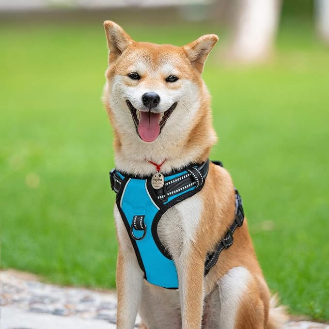 PoyPet No Pull Dog Harness, Reflective Comfortable Vest Harness with Front & Back 2 Leash Attachments and Easy Control Handle Adjustable Soft Padded Pet Vest for Small to Large Dogs (Blue,M)