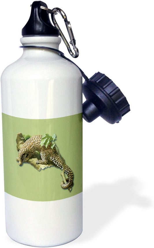 3dRose Vintage Pangolin or Scaly Anteater in a Tree Sports Water Bottle, 21 oz, Multicolored