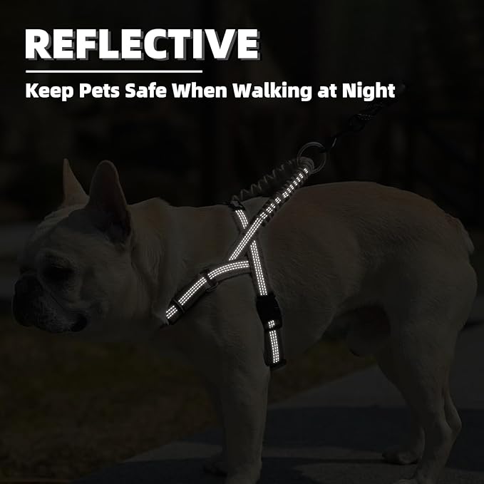 PUPTECK No Pull Dog Harness Small Sized Dog, Adjustable Reflective Pet Vest Harness with Bungee Handle, Escape Proof No Choke Harness for Small Dogs Walking Training, Beige XS