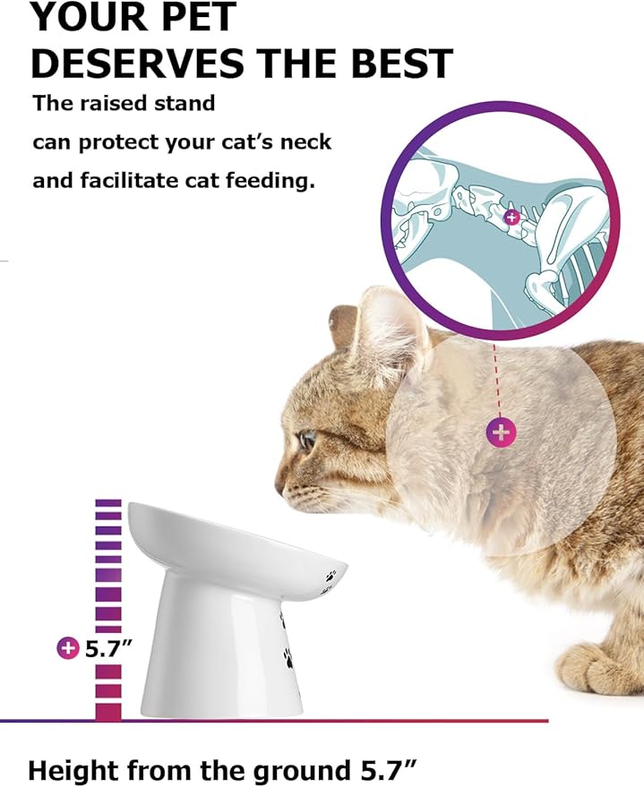 Y YHY Slow Feeder Cat Bowl, Ceramic Cat Slow Feeder Bowl, 6 Inches, Elevated, Anti Vomiting for Dry and Wet Food, White