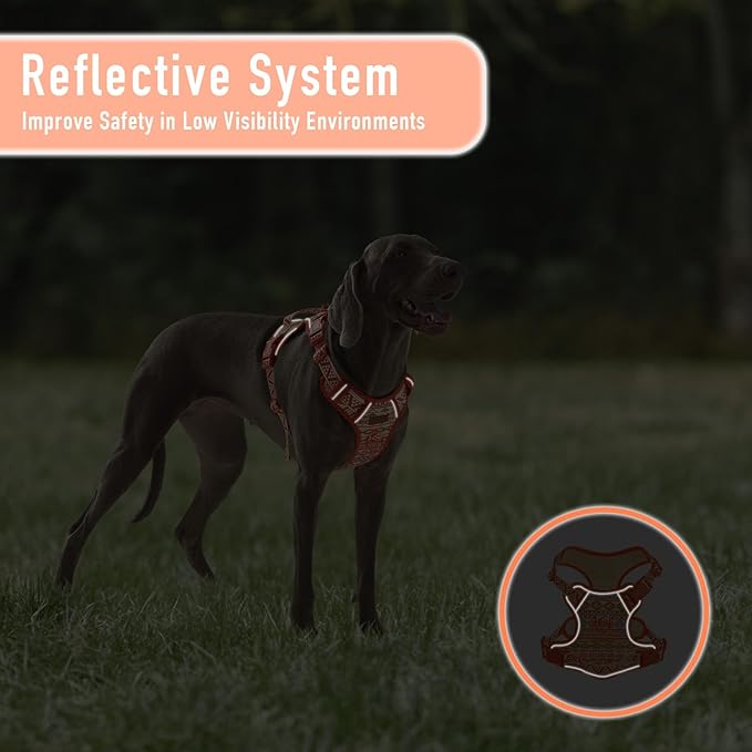 No Pull Dog Harness for Large Dogs with 2 Metal Clips, Easy On/Off with Neck Buckle, Heavy Duty Adjustable Puppy Vest, Breathable Pet Harness with Easy Control Handle, Orange Ethnic L