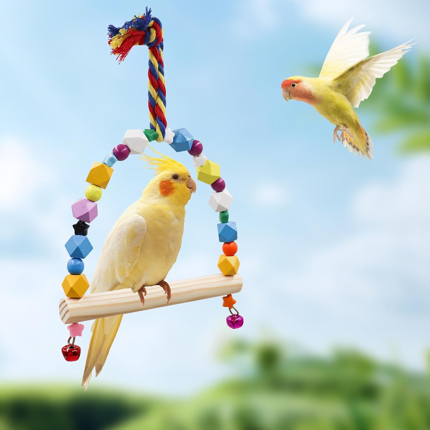 2 Pack Bird Swing, Hanging Colorful Wooden Parrot Perch Stand Toy, Bird Cage Accessories, Suitable for Small to Medium Birds Parrots Parakeets Cockatiels Conure Budgies Love Birds