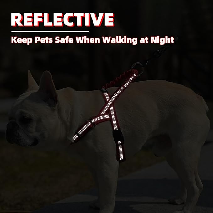 PUPTECK No Pull Dog Harness Small Sized Dog, Adjustable Reflective Pet Vest Harness with Bungee Handle, Escape Proof No Choke Harness for Small Dogs Walking Training, Red S