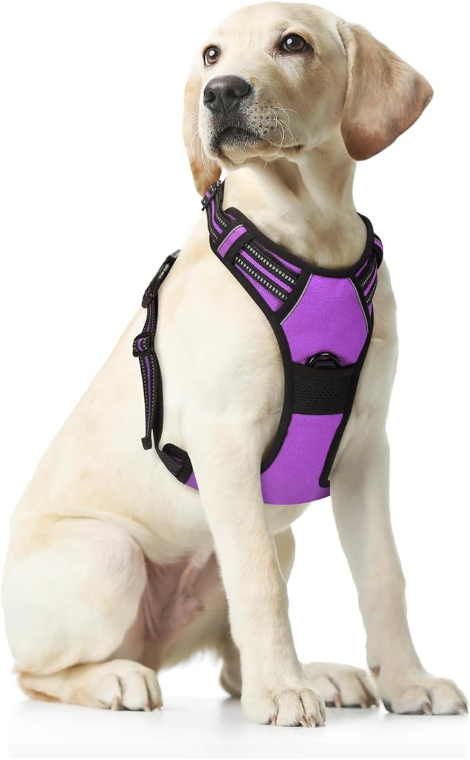 Funfox Dog Harness No Pull, Adjustable Pet Vest Harness Purple L with Handle, 2 Leash Clips for Daily Walking Easy Control, Soft Durable Reflective Comfortable for Large Breed Dogs
