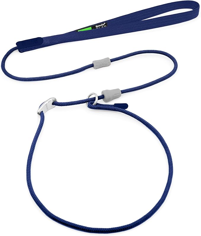 Slip Lead Dog Leash,Training Leash,No-Pull Slip Lead and Collar,Heavy Duty&Durable,6ft Thin Slip Lead for Small,Medium and Large Dogs (Blue1.8M Long)