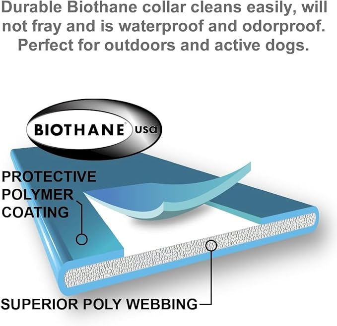 Educator EZ 1/2 Mile Dog Training Collar with Ergonomic Remote, Safe Humane Vibration Stimulation, Pavlovian Tone, Waterproof, Odorproof Biothane Collar, Night Light, Rechargeable, 1 Dog, Yellow