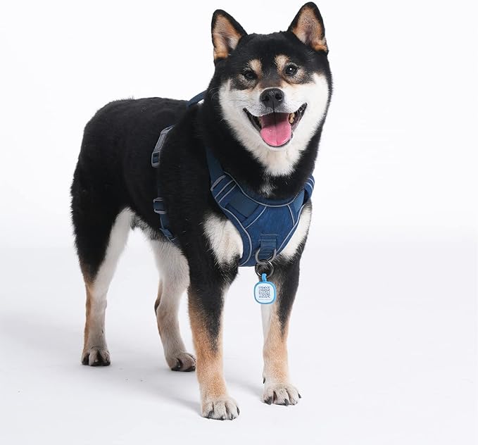 Pawaii No Pull Dog Harness with Pet ID Tag,Reflective Strips No Choke Front O Ring Breathable Mesh Adjustable Soft Padded Pet Vest with Easy Control Handle for Small Dogs