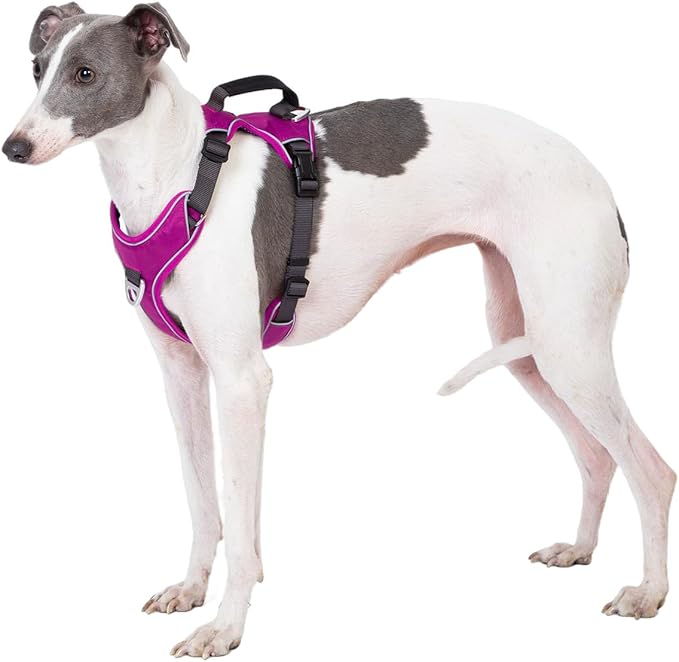 No Pull Dog Harness with Back Control Handle Small Sized, Reflective Vest, Adjustable and Padded, Easy Walker Front/Back Clips (Purple, Small)