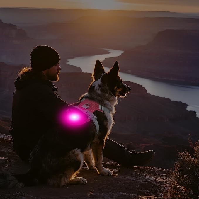 Joytale Lightweight Light Up Dog Harness, Rechargeable No-Pull LED Dog Harness with Detachable Light Box, Airtag Holder, Adjustable for Night Walking, Running & Everyday Use, Red, XS