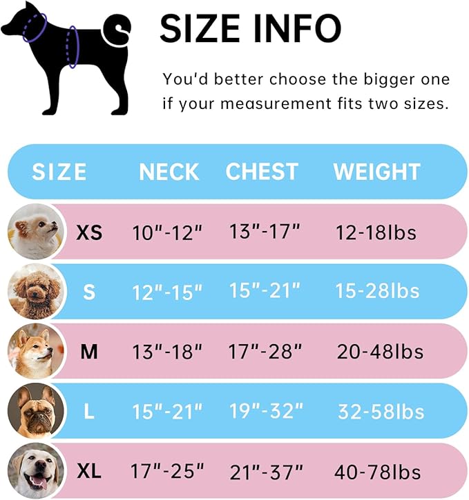 IVY&LANE No Pull Dog Harness for Medium Dogs, Dog Vest Harness with Leash, Safety Belt and Storage Strap, Fully Adjustable, 360 Reflective Strip, Soft Handle (Blue, M)