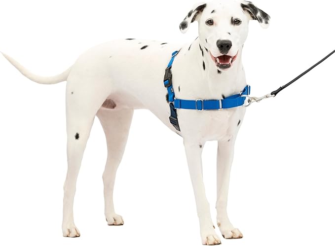 PetSafe Easy Walk No-Pull Dog Harness - The Ultimate Harness to Help Stop Pulling - Take Control & Teach Better Leash Manners - Helps Prevent Pets Pulling on Walks, Medium/Large, Royal Blue/Navy Blue