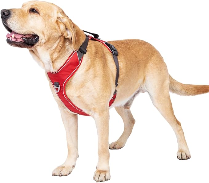No Pull Dog Harness with Back Control Handle Medium Sized, Reflective Vest, Adjustable and Padded, Easy Walker Front/Back Clips (Red, Medium)
