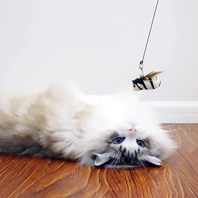 TTcat Cat Feather Toy Replacement Cat Toy Wand Refills, 4 Pcs Simulation Insects Bird Feathers Refills, Cat Toy Replacement Feathers for Cat Wand…