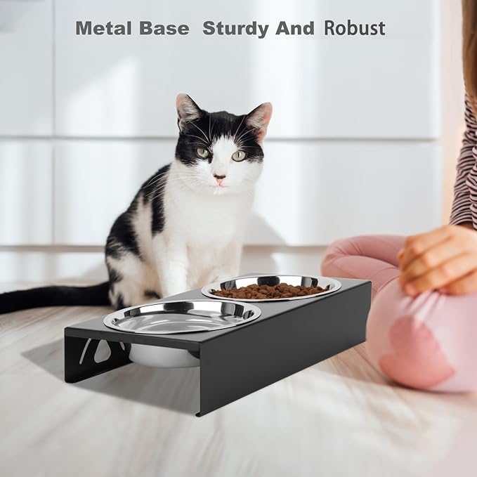 Elevated Cat Bowls 5° Tilted Raised Pet Food Water Bowl Set, 2 Thick Stainless Steel 13.5 oz Cat Dishes Feeder Shallow Wide Cute Whisker Friendly for Indoor Kitten, Small Dogs, Puppy,Black