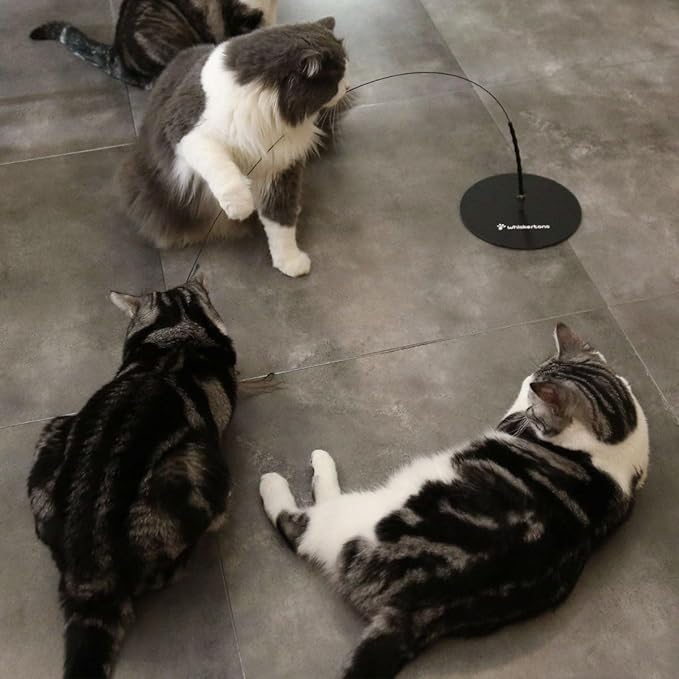 Interactive Bird Simulation Cat Toy Set, Interactive Cat Toys for Indoor Cats, Cat Feather Toy, Self-Holding Suction Base, 5 Replacement Birds, Feathers & Bells (Weighted Base + Wire)