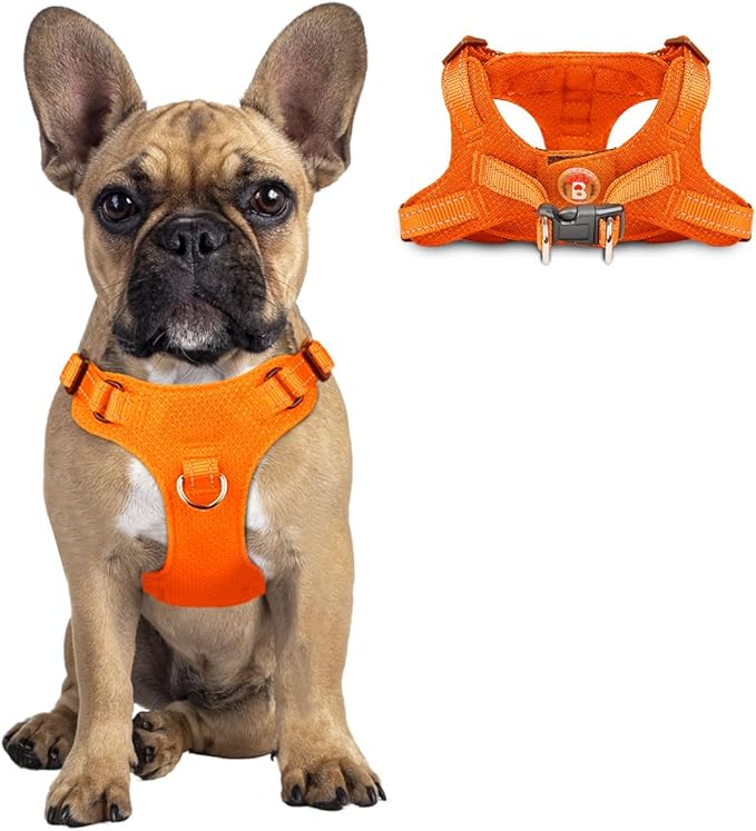 Dog Harness Step in Dog Vest Harness, Reflective Adjustable Puppy No Pull Harness Breathable Soft for Small and Medium Dogs Cats, Orange, S