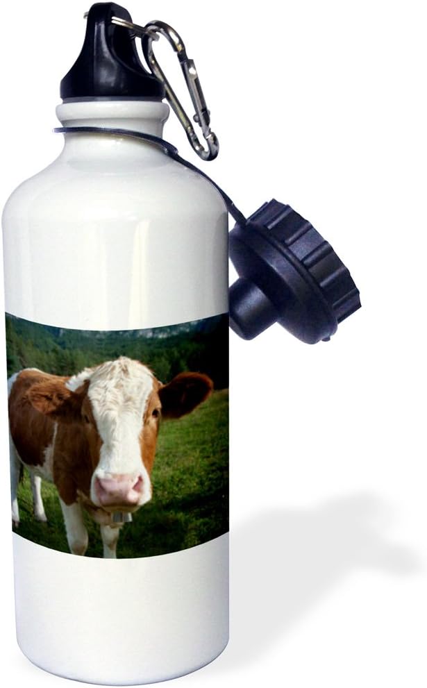3dRose Simmental cow Sports Water Bottle, 21 oz, Multicolor