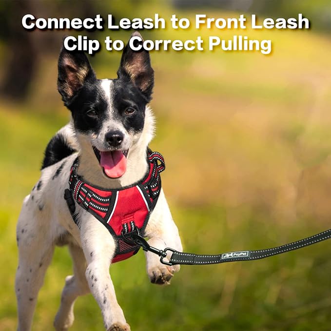 PoyPet No Pull Dog Harness, No Choke Front Clip Reflective Dog Vest with Soft Padded Vertical Handle, 3 Leash Attachments for Small Medium Large Dogs (Red,M)