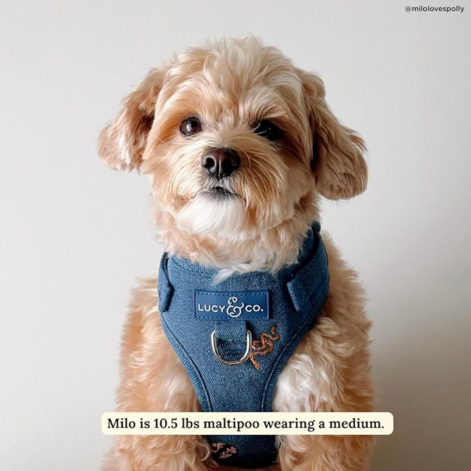 Lucy & Co. The Giddy Up No-Pull Dog Harness for Dogs – Vest to Stop Pulling & Walk Easy – Comfortable Leash Training Product w/Adjustable Chest & Neck Straps - Blue Demin Cowboy - Small