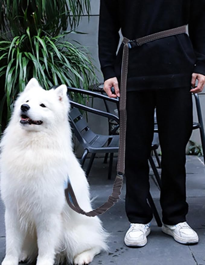 Hands Free Dog Leash for Large Medium Dogs Heavy Duty Bungee Reflective Adjustable Waist Leashes for Walking Running with Car Buckle 4-6FT (Black)