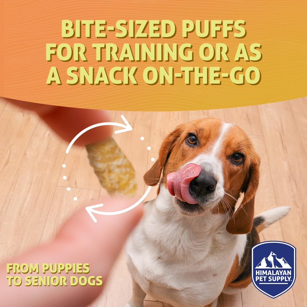 Barkeetos Dog Treats, Crunchy and Cheesy Pet Snacks Made with Real Himalayan Cheese, Gluten Free, Grain Free, Lactose Free, Natural Dog Food for All Breeds and Sizes - 3 Pack