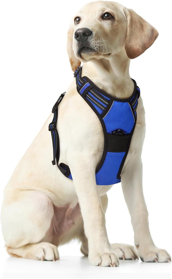 Funfox Dog Harness No Pull, Adjustable Pet Vest Harness Blue M with Handle, 2 Leash Clips for Daily Walking Easy Control, Soft Durable Reflective Comfortable for Medium Sized Dogs