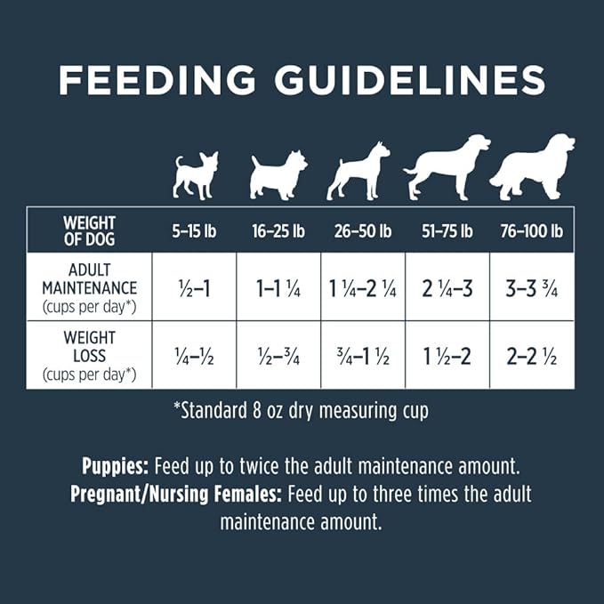 Instinct Raw Boost, Natural Dry Dog Food with Freeze Dried Pieces, High Protein, Grain Free Recipe - Real Chicken, 4 lb. Bag