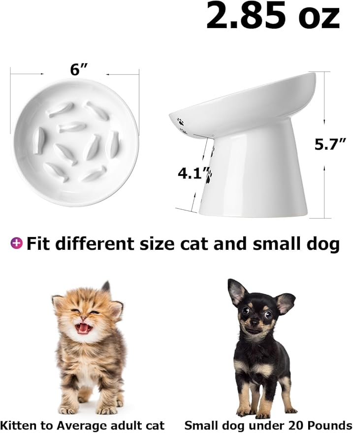 Y YHY Slow Feeder Cat Bowl, Ceramic Cat Slow Feeder Bowl, 6 Inches, Elevated, Anti Vomiting for Dry and Wet Food, White