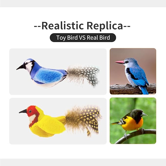 Catnip Cat Toys Boredom Relieve Teeth and Kicking Feather Cat Toys Interactive with Lifelike Chirp Sound Chirping Bird Kitten Toy Real Feather (6 Pack)