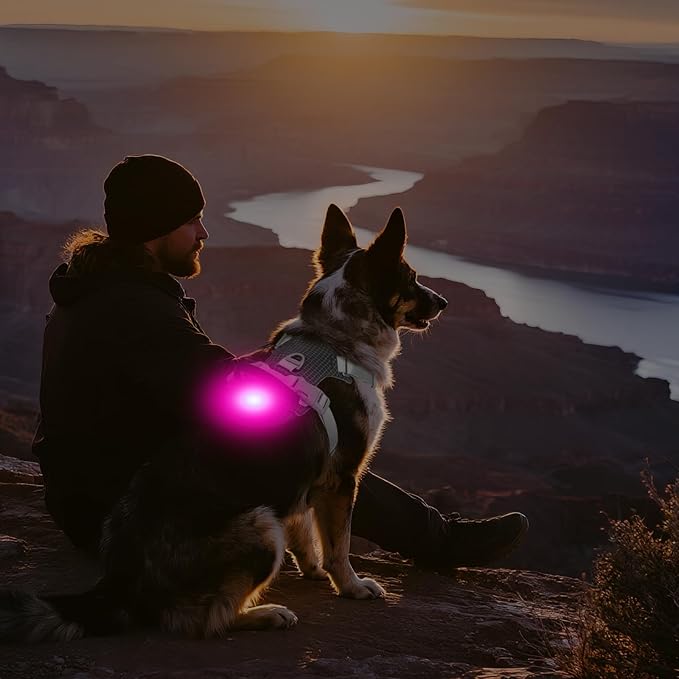 Joytale Lightweight Light Up Dog Harness, Rechargeable No-Pull LED Dog Harness with Detachable Light Box, Airtag Holder, Adjustable for Night Walking, Running & Everyday Use, Black, XS