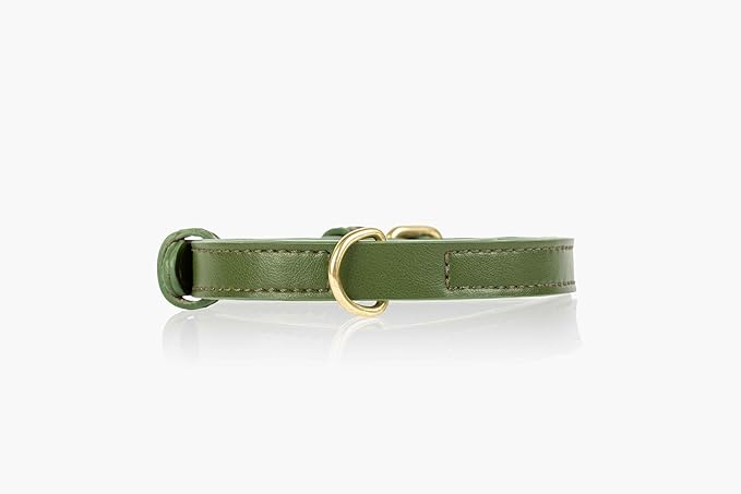 Cactus Leather Dog Collar - Eco-Friendly, Stylish, Easy-to-Clean Pet Collar with Gold Hardware, D-Rings for Leash & ID Tag (Small, Green)
