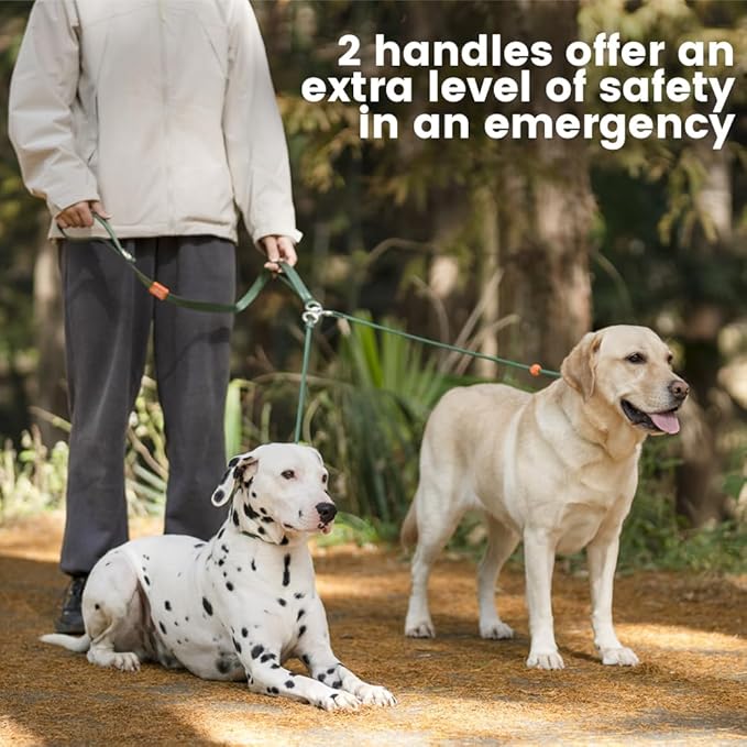Howgo Double Slip Leash Slip Lead with Two Handles| Dual Dog Slip Lead for 2 Dogs,360° Swivel No Tangle | Dog Training Collar | Double Clip Leash Coupler and Splitter (Black, 6FT)