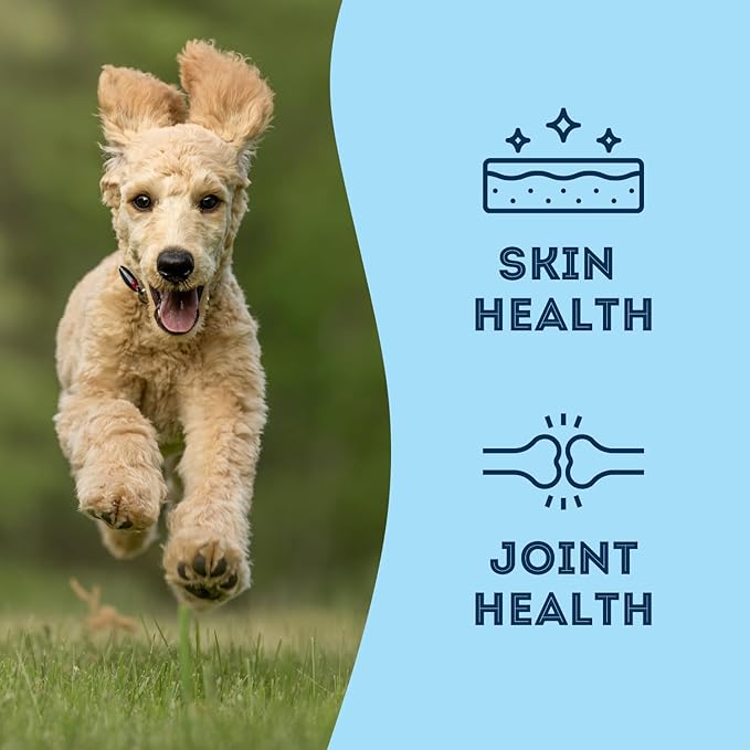 Sardines for Dogs & Sardines for Cats (6.3 o.z.) - Dehydrated Single Ingredient Dog Treats - All Natural Dog Treats, Grain Free – Training Treats