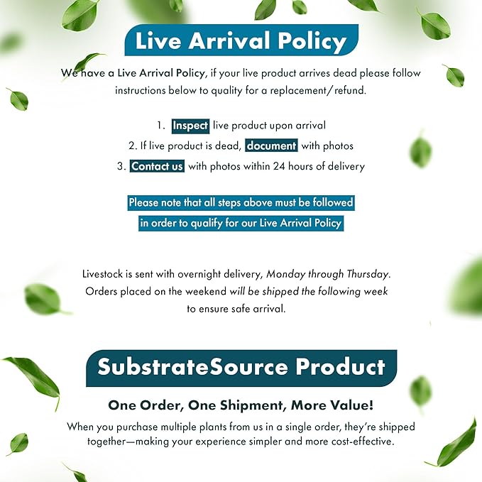 Live Aquarium Stem Plants - Freshwater Aquatic Plant for Fish Tanks, Aquascaping - (Alternanthera Reineckii Variegatus, 4 Bunches)