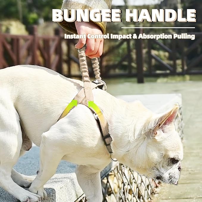 PUPTECK No Pull Dog Harness Small Sized Dog, Adjustable Reflective Pet Vest Harness with Bungee Handle, Escape Proof No Choke Harness for Small Dogs Walking Training, Beige XS