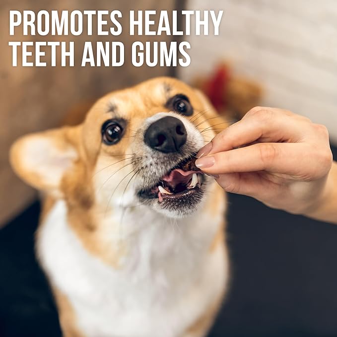 Dog Treats Sweet Potato Jerky Chicken Wraps 24 oz - Human Grade - Grain Free Organic Meat - All Natural High Protein Dried Strips - Best Chews for Small & Large Dogs - Bulk Soft Pack Made for USA